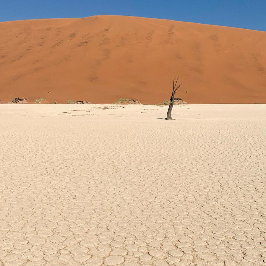 Dune Namibia